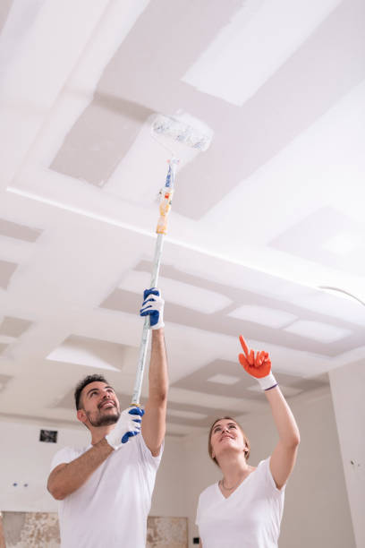 Best Mold Odor Removal Services  in Villa Rica, GA
