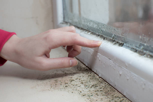 Best Airborne Mold Testing  in Villa Rica, GA