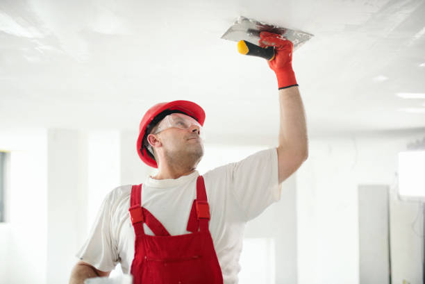 Best Biohazard Mold Removal  in Villa Rica, GA