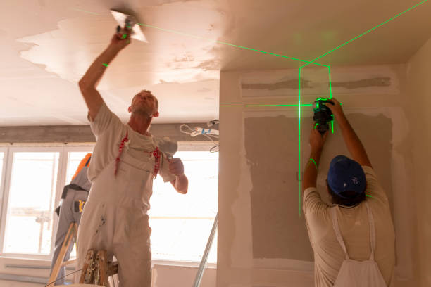 Best Emergency Mold Remediation  in Villa Rica, GA