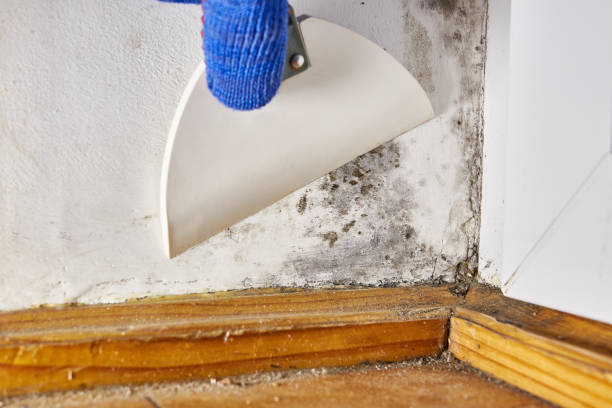 Best Post-Remediation Verification Testing  in Villa Rica, GA