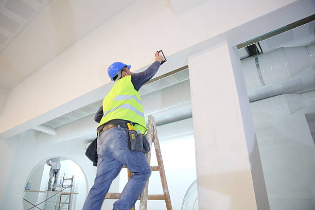 Trusted Villa Rica, GA Mold Removal Experts